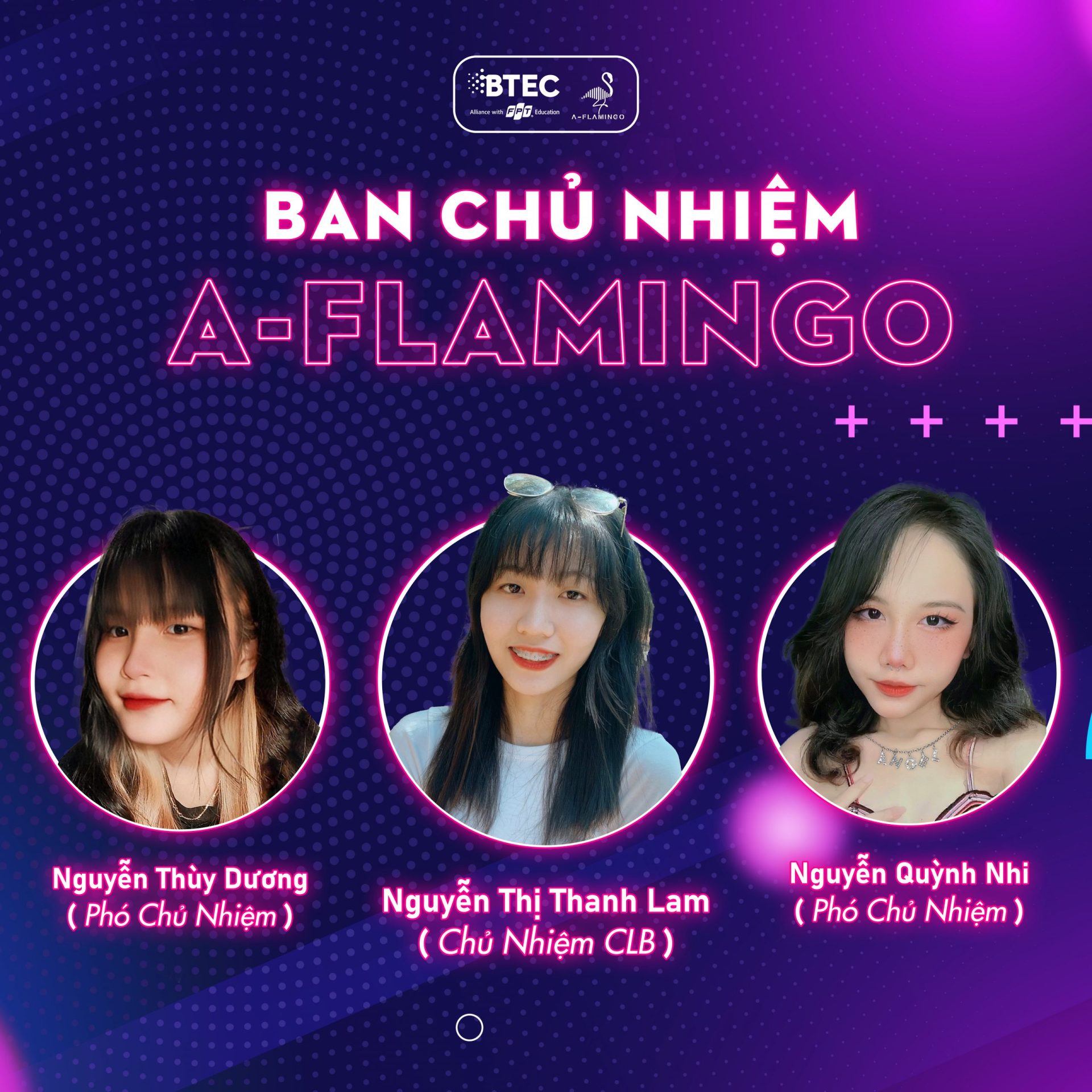 ban chủ nhiệm a-flamingo