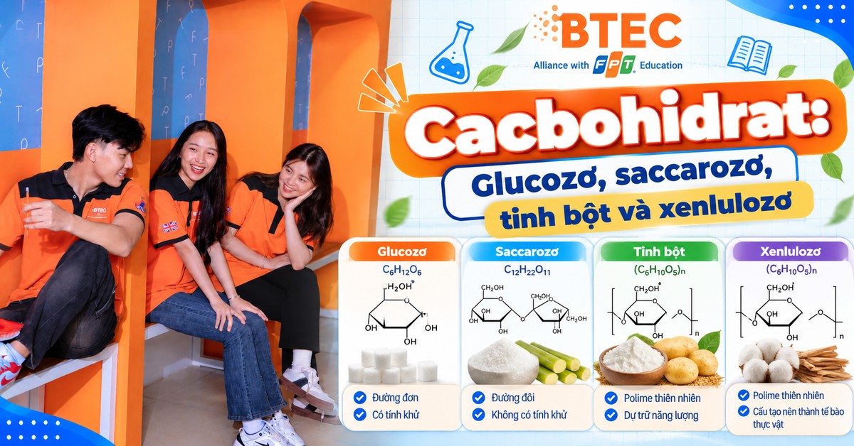 Cacbohidrat: Glucozơ, saccarozơ, tinh bột và xenlulozơ