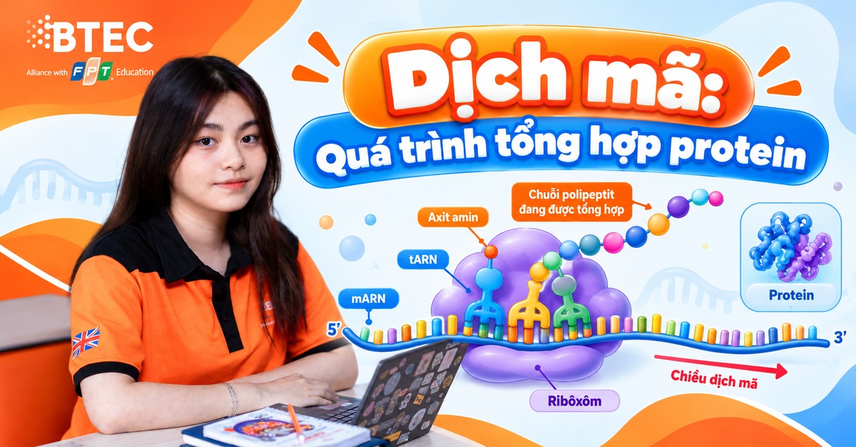 Dịch mã: Quá trình tổng hợp protein