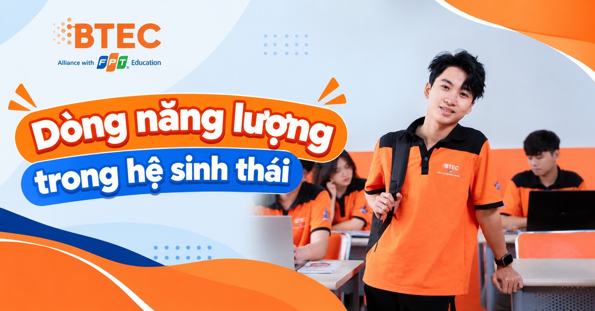 Dòng năng lượng trong hệ sinh thái