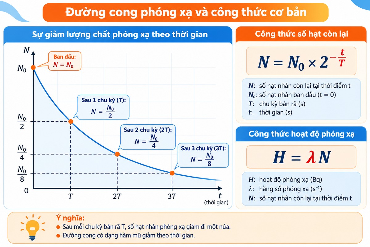 Đường cong phóng xạ thể hiện N₀, N₀/2, N₀/4, N₀/8 theo các chu kỳ T, 2T, 3T và công thức N = N₀ × 2⁻ᵗ⁄ᵀ, H = λN minh họa lượng chất phóng xạ giảm một nửa sau mỗi chu kỳ bán rã, kèm công thức số hạt còn lại và hoạt độ phóng xạ.