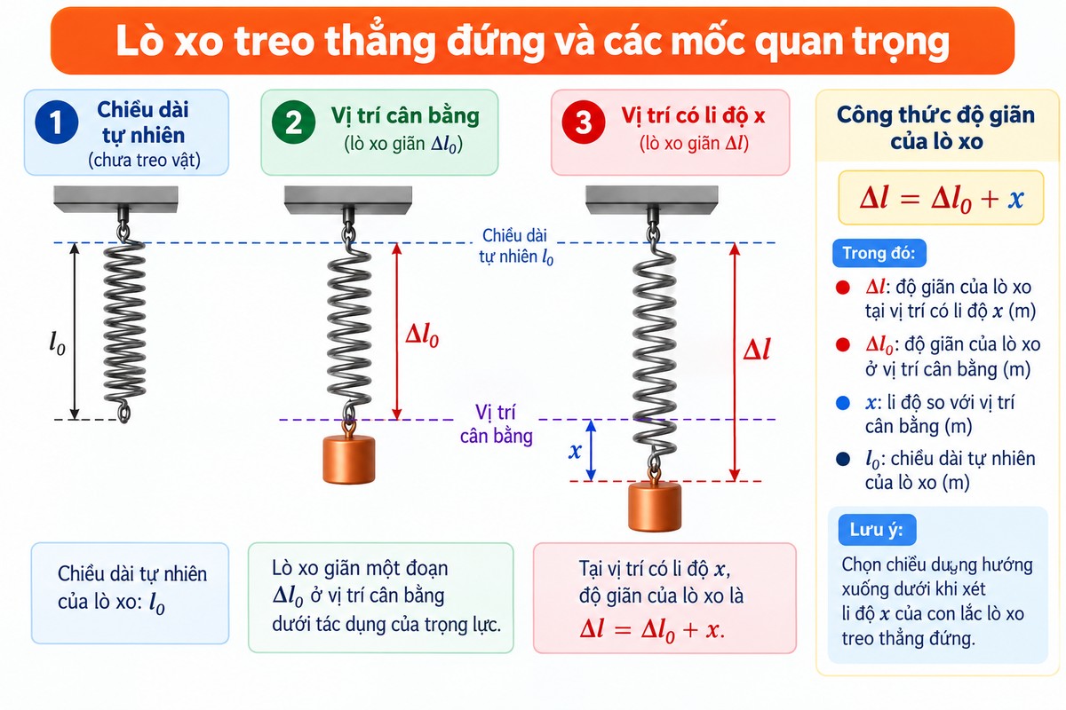 Lò xo treo thẳng đứng với chiều dài tự nhiên, vị trí cân bằng giãn Δl₀ và vị trí có li độ x mô tả ba trạng thái của lò xo treo thẳng đứng: chiều dài tự nhiên \(l_0\), vị trí cân bằng có độ giãn \(\Delta l_0\), và vị trí lệch khỏi cân bằng một đoạn \(x\). Tổng độ giãn của lò xo tại vị trí đó được thể hiện bằng công thức \(\Delta l=\Delta l_0+x\).