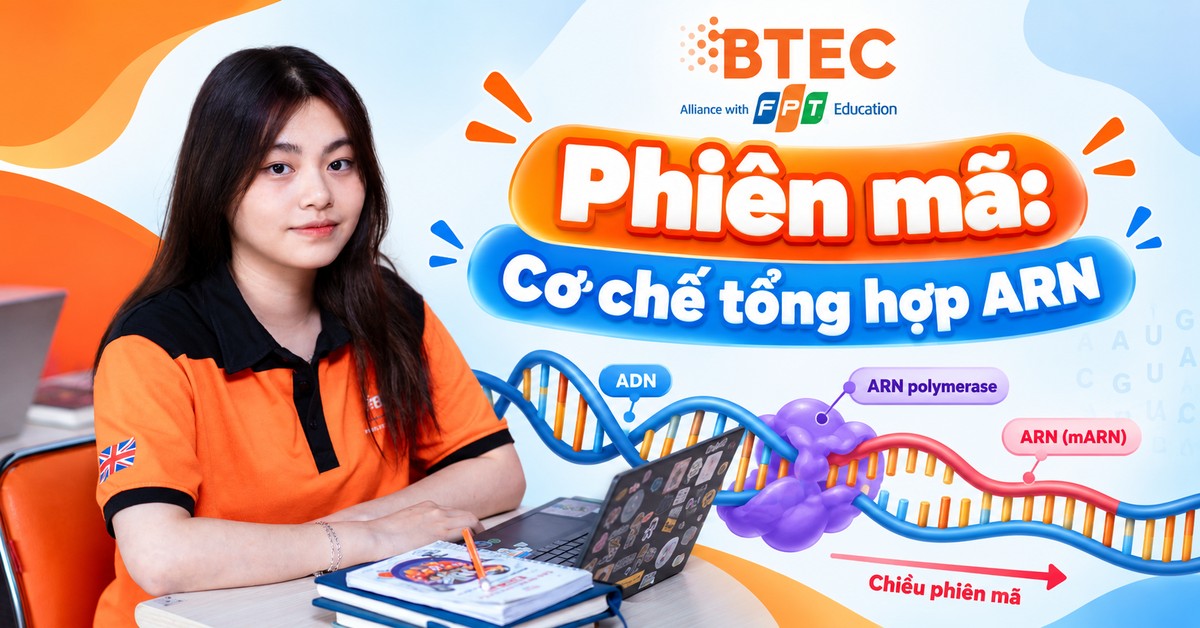Phiên mã: Cơ chế tổng hợp ARN