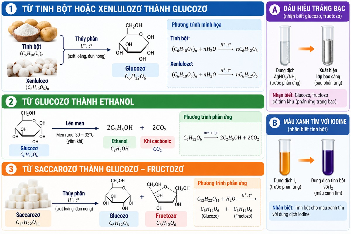 Sơ đồ chuyển hóa tinh bột, xenlulozơ, glucozơ, saccarozơ và phản ứng tráng bạc, iodine hệ thống các chuyển hóa quan trọng của tinh bột, xenlulozơ, glucozơ và saccarozơ, kèm dấu hiệu nhận biết bằng phản ứng tráng bạc và iodine.