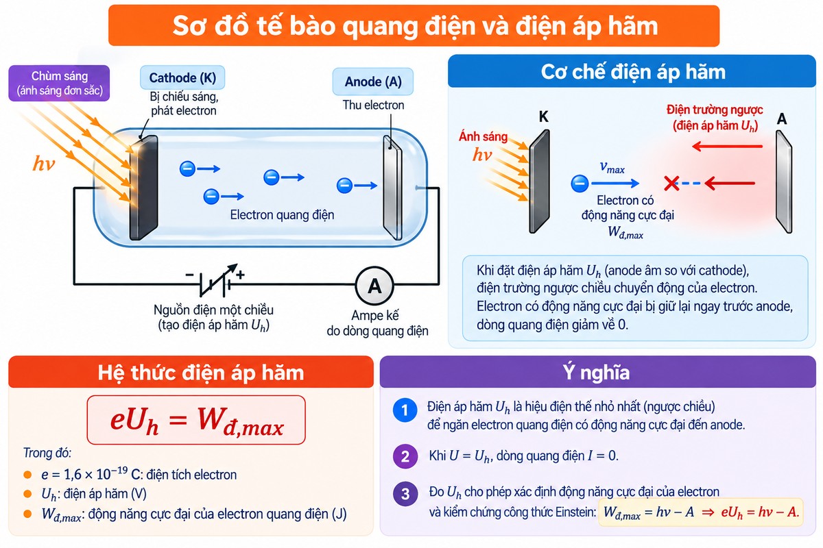 Sơ đồ tế bào quang điện với cathode được chiếu sáng, anode thu electron và điện áp hãm thỏa eUh = Wđ,max Sơ đồ minh họa tế bào quang điện, electron bật khỏi cathode và bị điện trường ngược của điện áp hãm giữ lại trước anode.