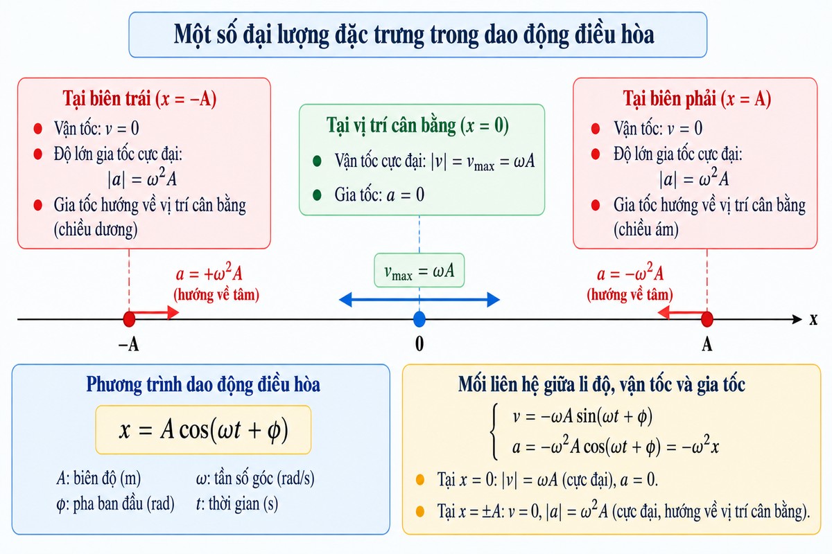 Trục dao động từ −A đến A thể hiện vận tốc và gia tốc đặc trưng trong dao động điều hòa Title ảnh: Trục dao động và các đại lượng đặc trưng Sơ đồ trục dao động minh họa tại vị trí cân bằng, vận tốc đạt cực đại và gia tốc bằng 0; tại hai biên, vận tốc bằng 0 và độ lớn gia tốc cực đại hướng về tâm.