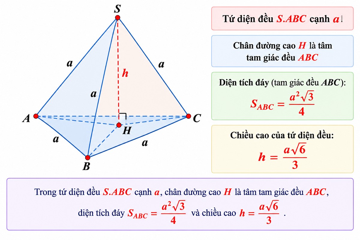 Tứ diện đều S.ABC cạnh a có chân đường cao H là tâm tam giác đều ABC, diện tích đáy a²√3/4 và chiều cao a√6/3 Sơ đồ hình học không gian nền trắng minh họa tứ diện đều \(S.ABC\) cạnh \(a\). Chân đường cao \(H\) nằm tại tâm tam giác đều \(ABC\), kèm chú thích diện tích đáy \(\frac{a^2\sqrt3}{4}\) và chiều cao \(\frac{a\sqrt6}{3}\).